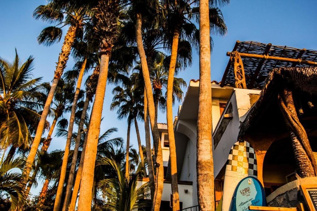 Cabo Surf Hotel San Jose del Cabo Exterior photo