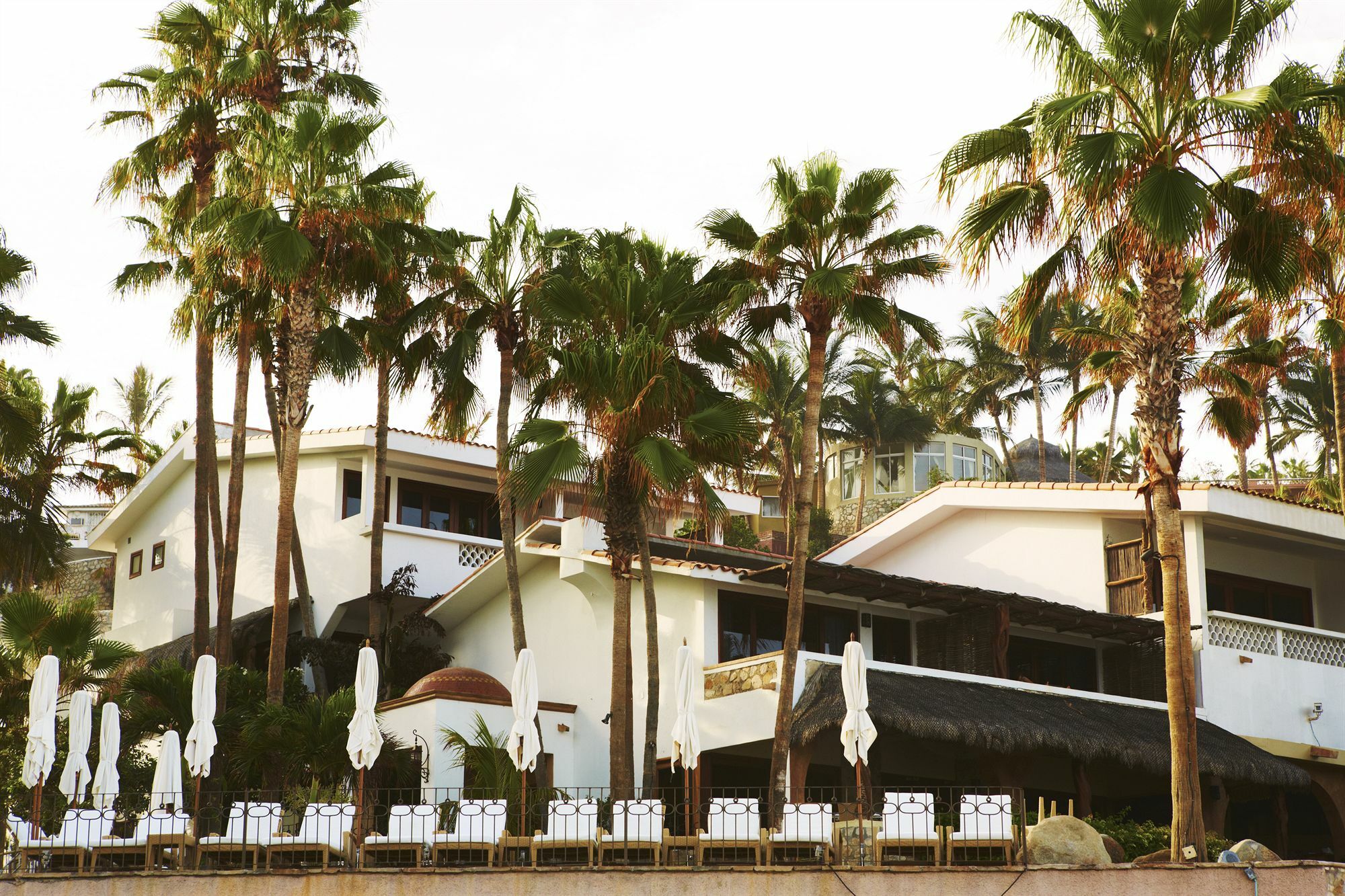 Cabo Surf Hotel San Jose del Cabo Exterior photo